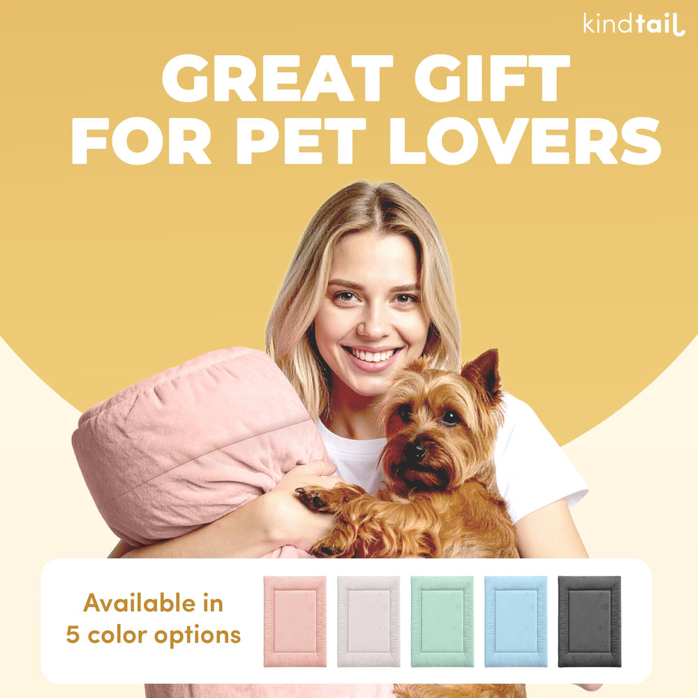 KindTail cama pequeña para perros de hasta 15 libras, 20x15x1 pulgadas.