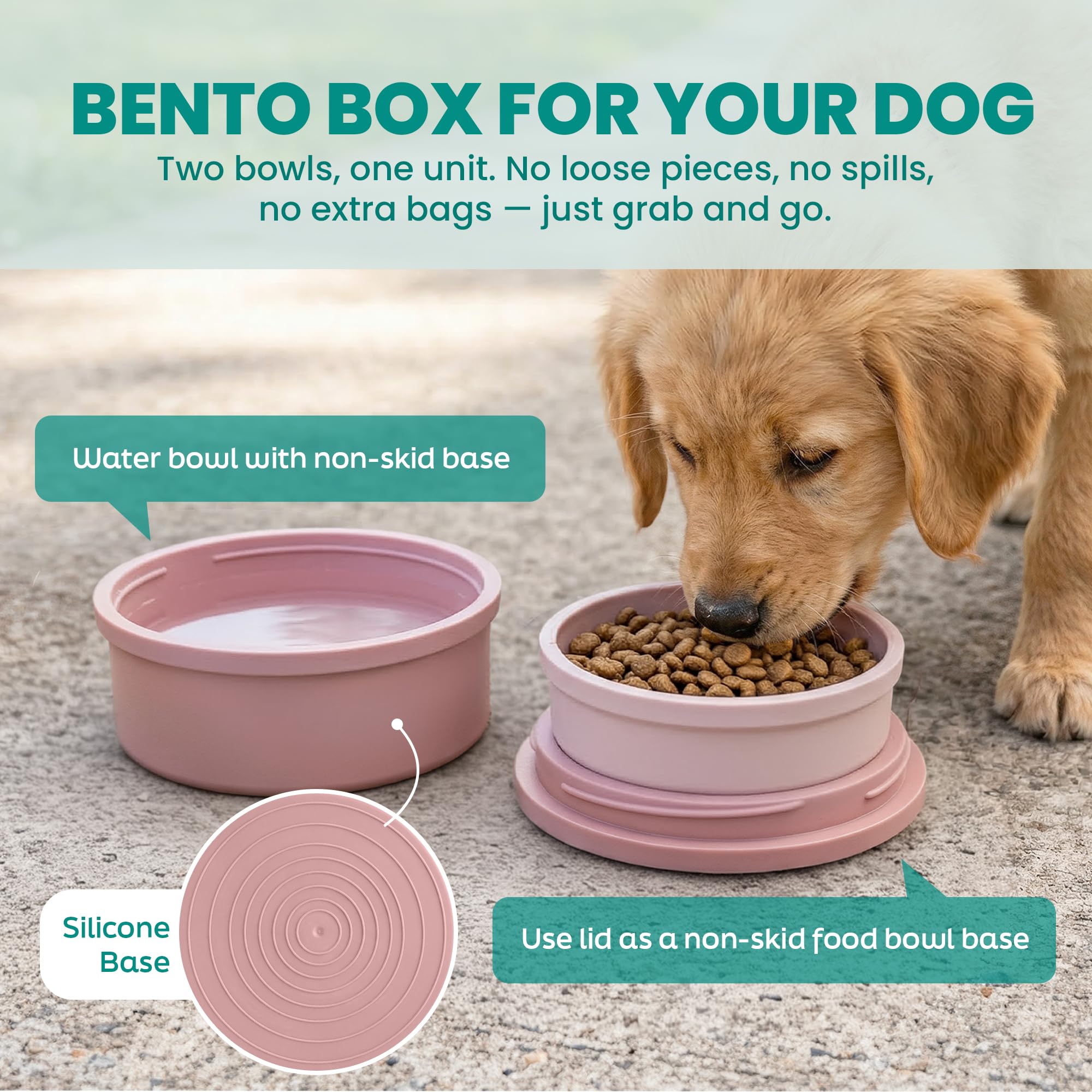 KindTail conjunto 2 en 1, compacto para perros pequeños