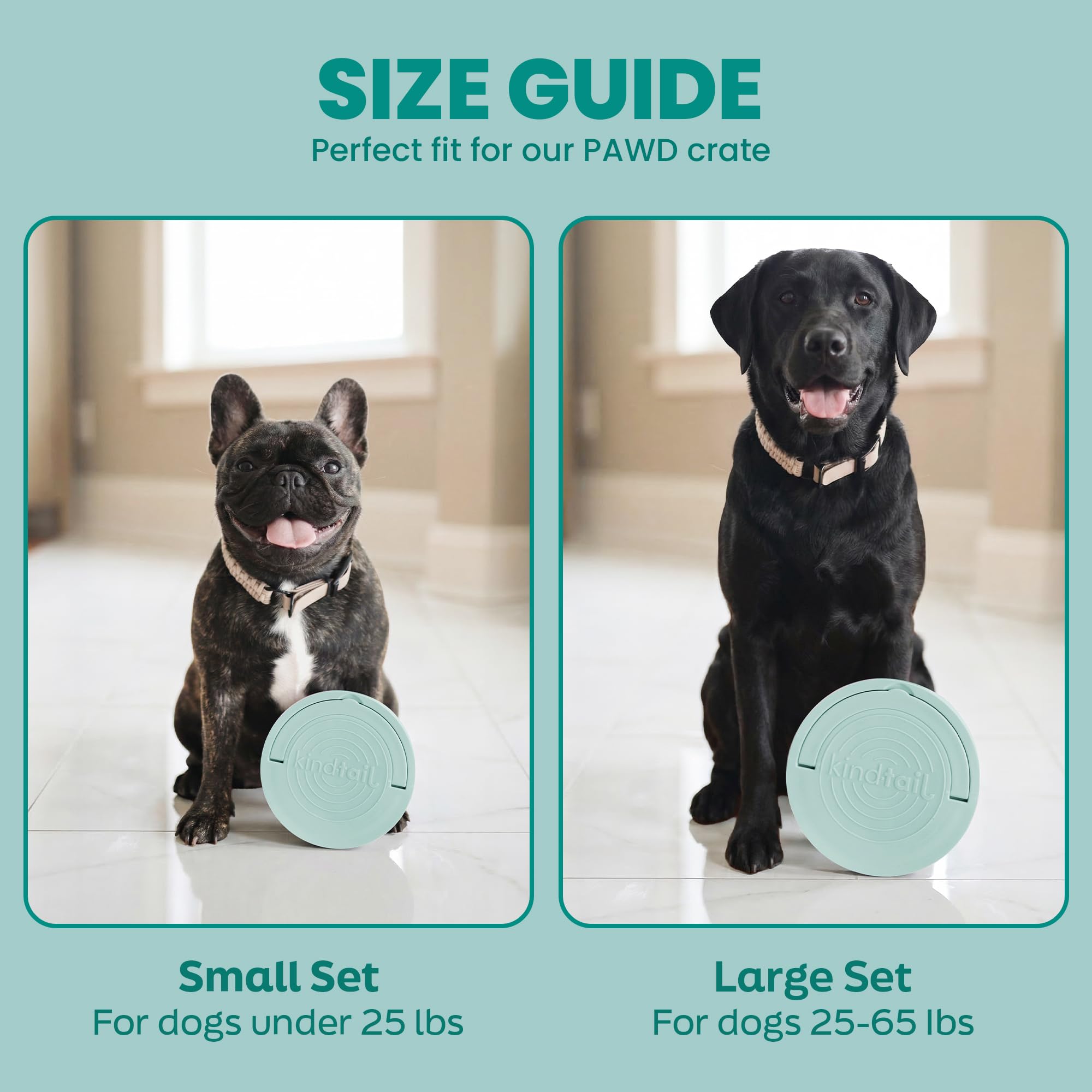 KindTail materiales sin BPA ni toxinas para la seguridad de tu mascota