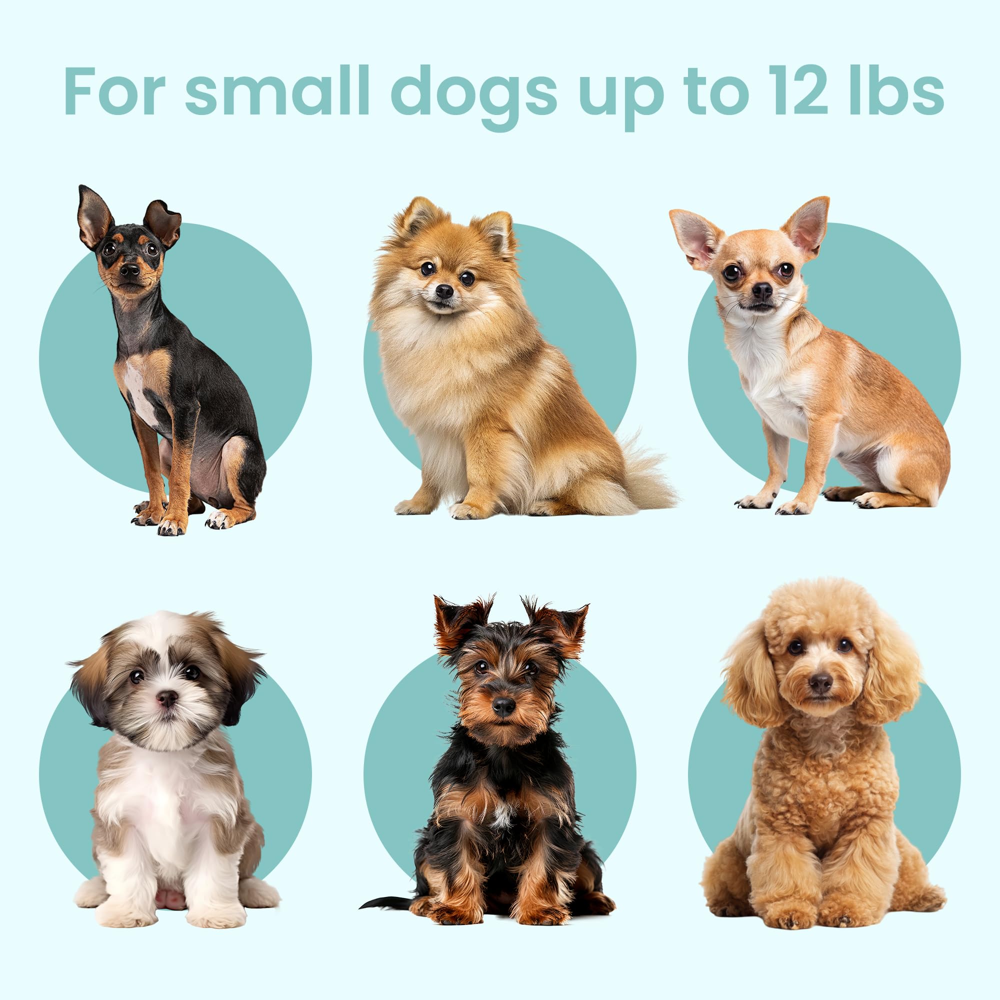KindTail PAWD cama lavable, confort para siestas y limpieza sencilla.