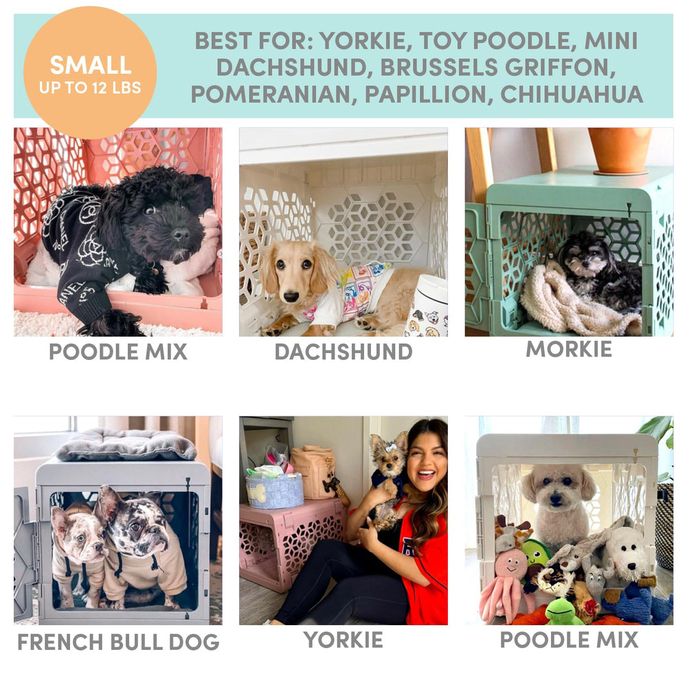 KindTail PAWD uso versátil en interiores y viajes como rincón seguro.