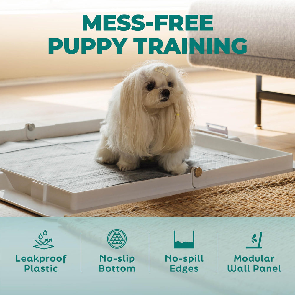 KindTail Pee PAWD: base antideslizante para evitar movimientos durante el uso.