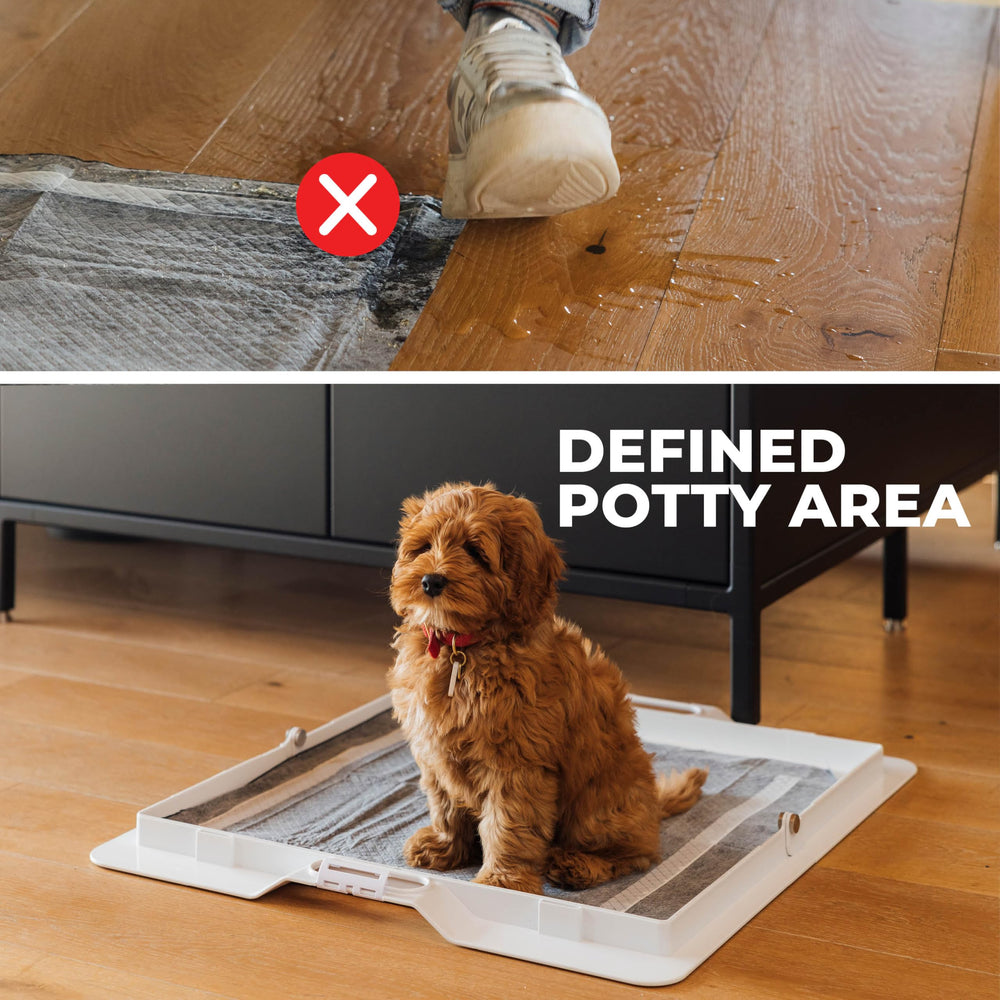 KindTail Pee PAWD: limpieza rápida con paño húmedo o enjuague.