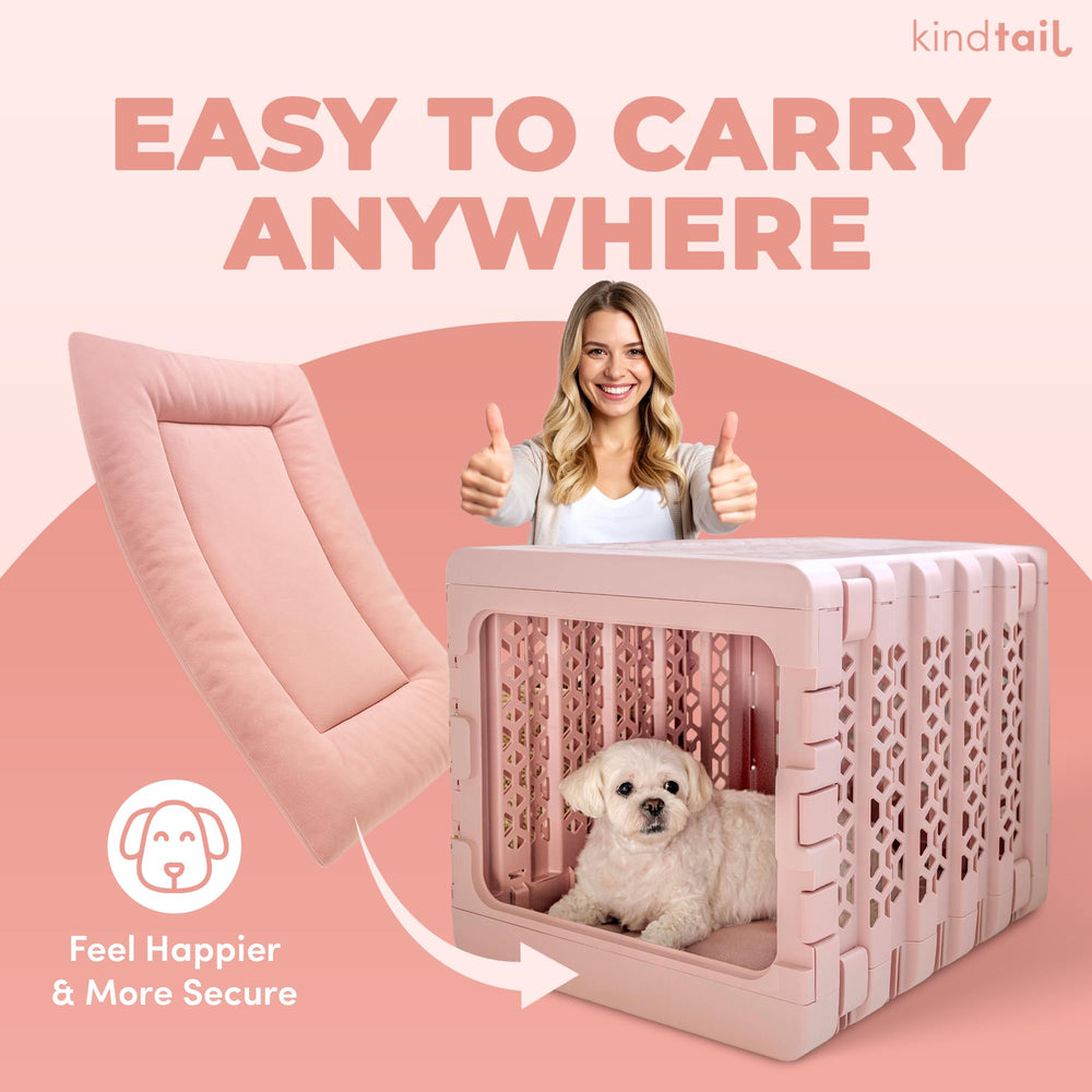 KindTail regalo práctico para amantes de mascotas lujo sin complicaciones.