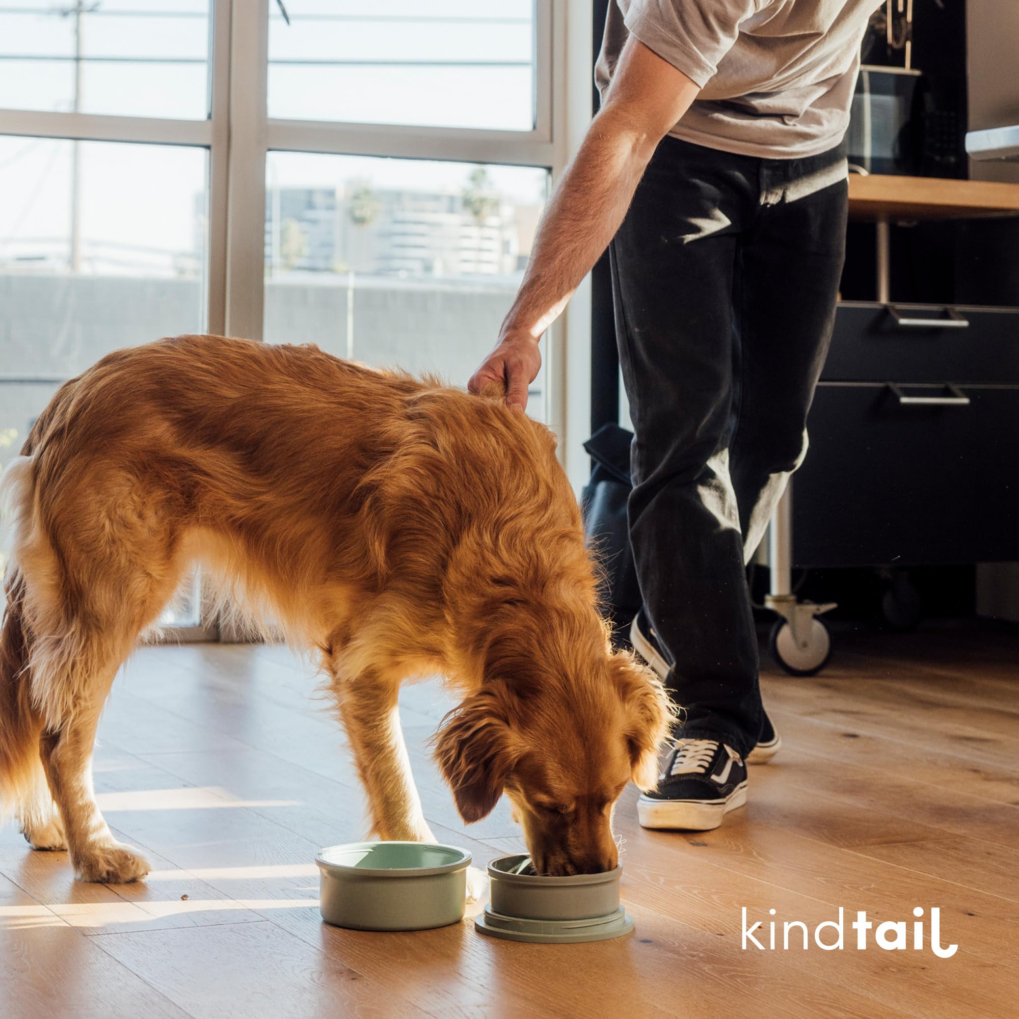 KindTail compatible para perros de 25 a 65 libras, tamaño compacto.