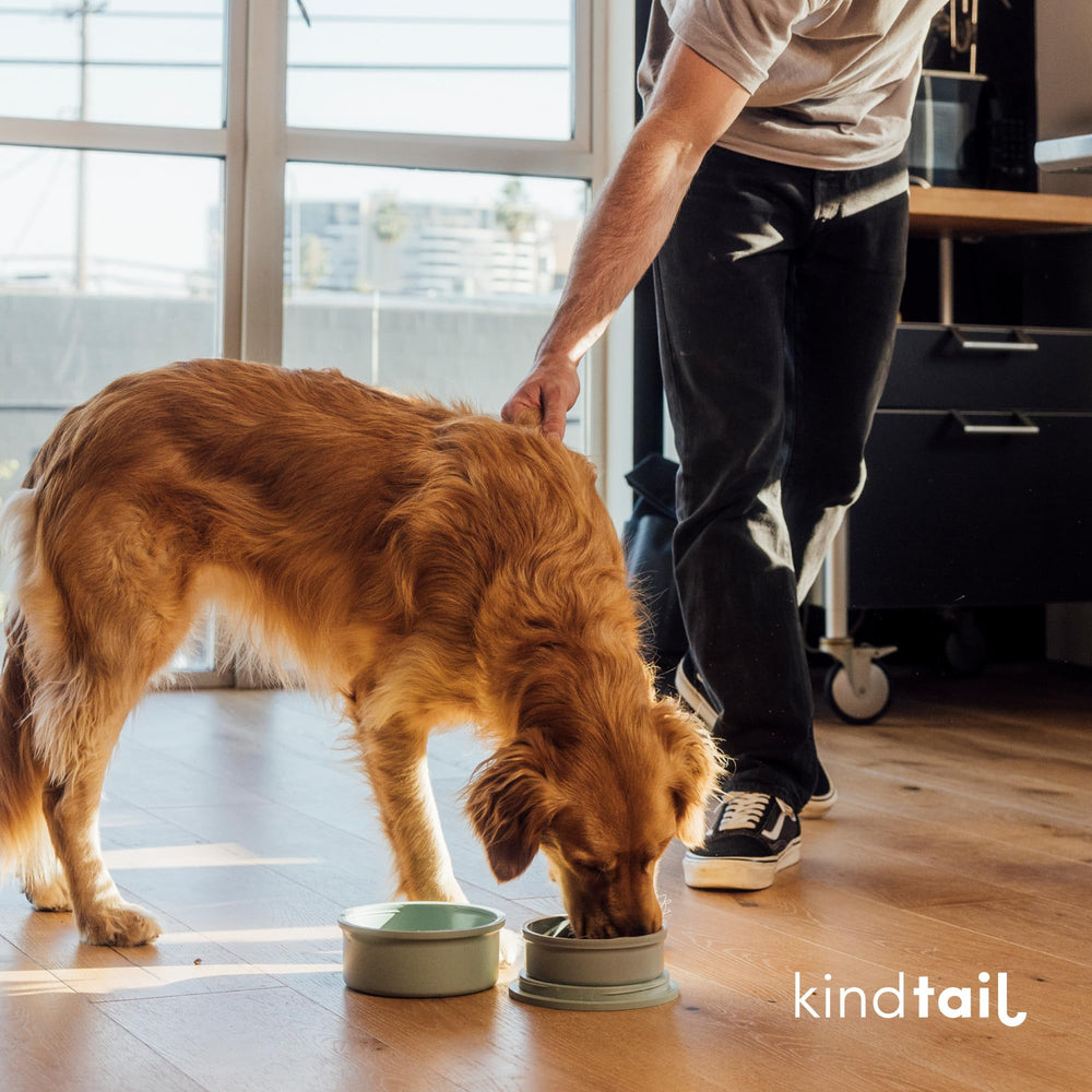 KindTail compatible para perros de 25 a 65 libras, tamaño compacto.