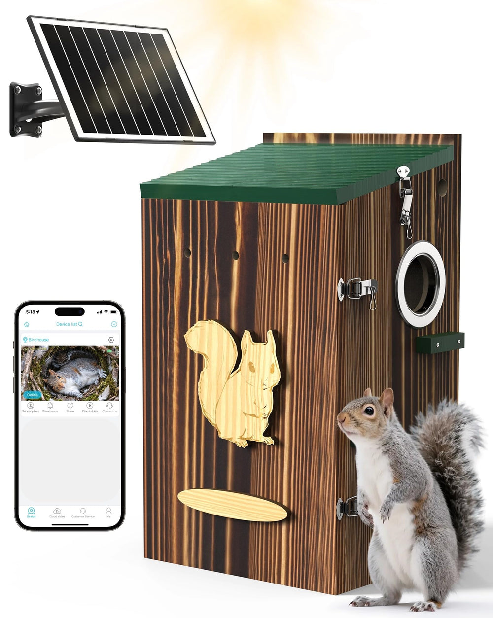 KinetCam caja-ardilla: cámara 2K para observar ardillas con detalle.
