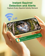 KinetCam caja-ardilla: diseño anti-predadores para mayor tranquilidad.