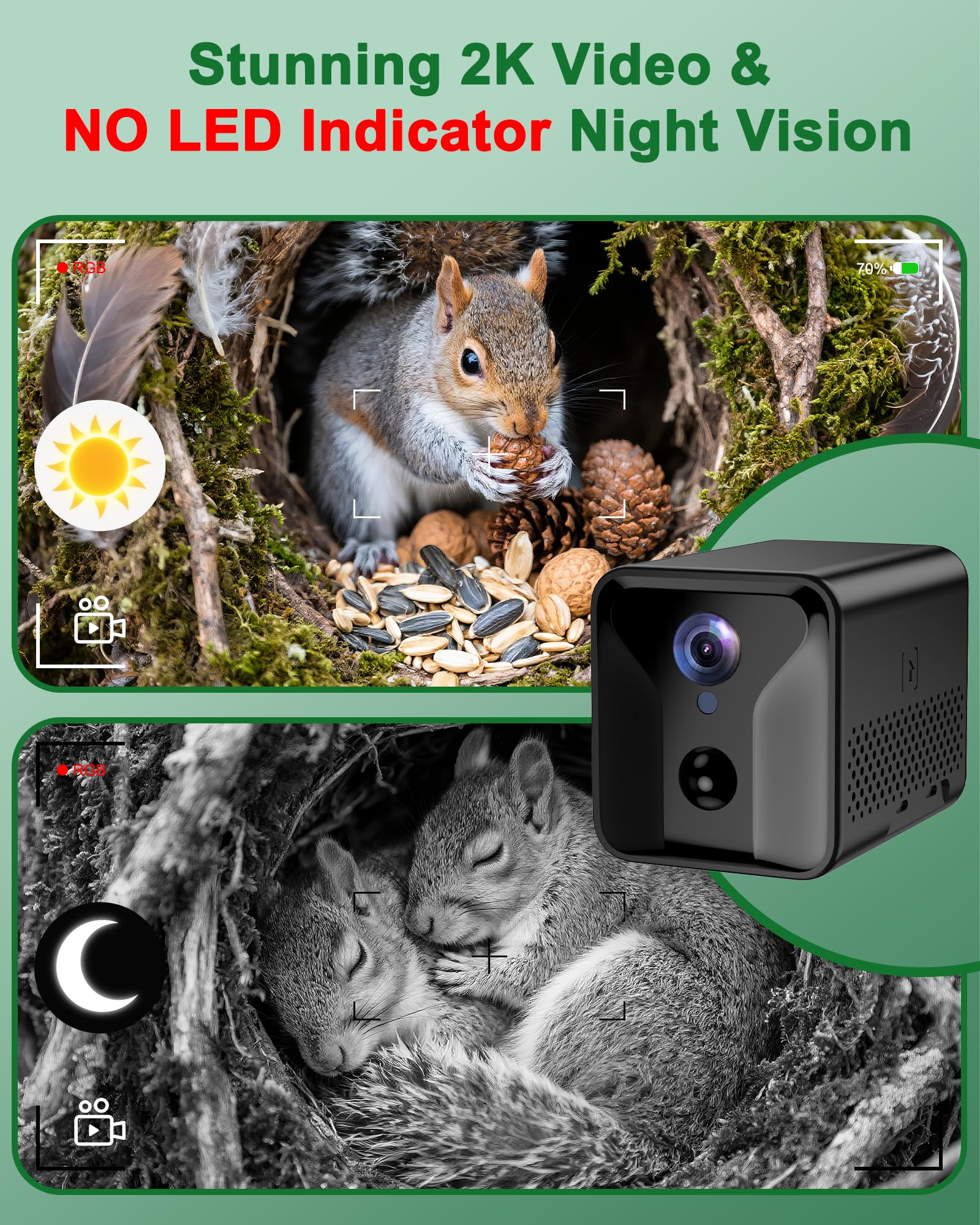 KinetCam caja-ardilla: entrada doble para observar desde dos ángulos.