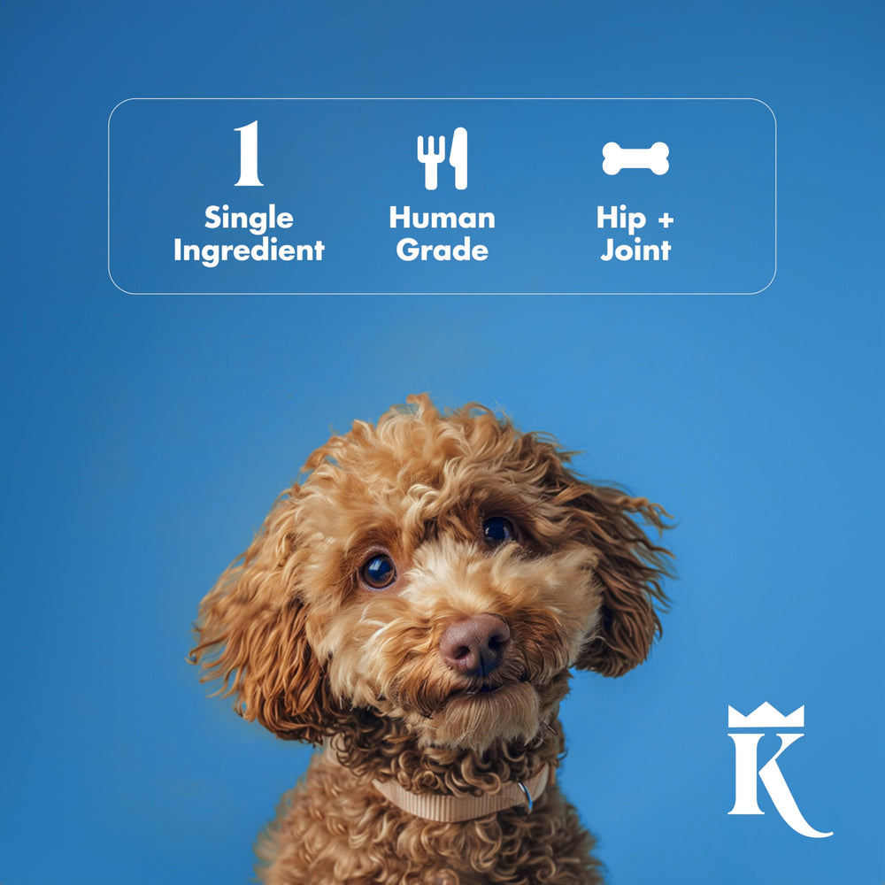 King Lou Pets empaque sostenible y compacto.