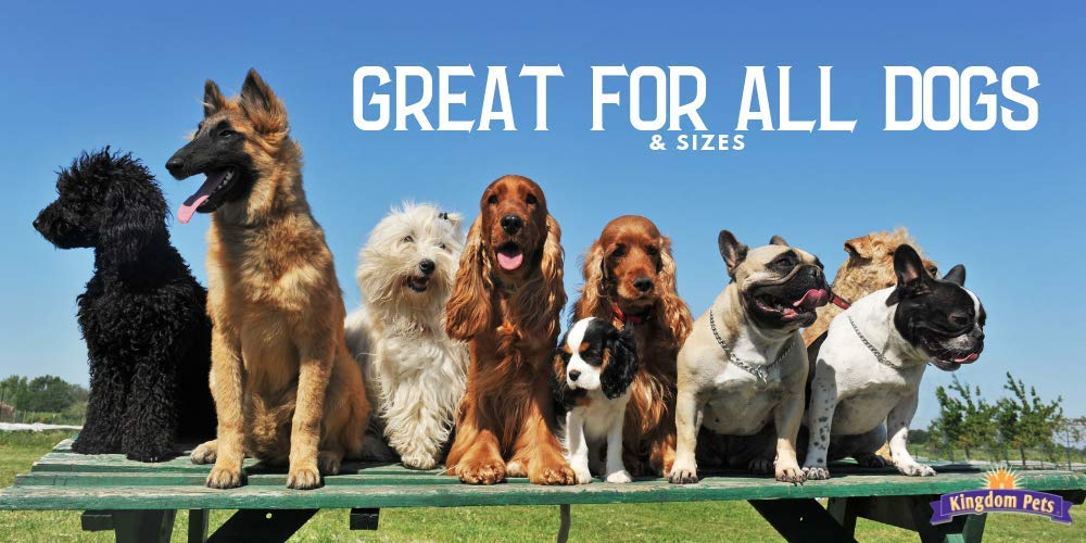 Kingdom Pets trozos para perros pequeños, porciones seguras y fáciles de manejar.