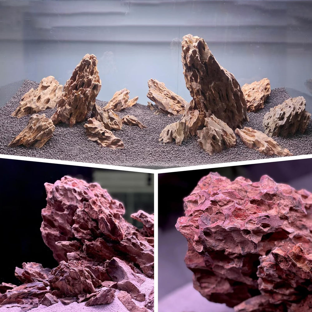 Kingrui Dragon Stone tamaños variados para composiciones personalizadas