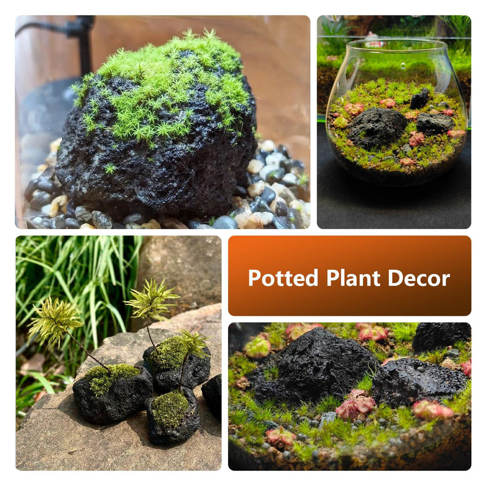 KINGRUI mantenimiento fácil de rocas lava, reutilizables para acuarios y jardines.