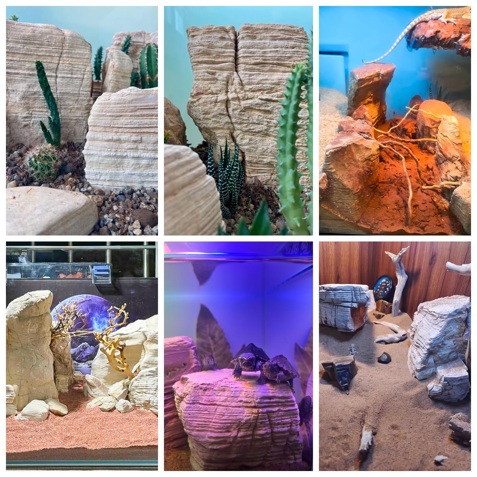 Piedras KINGRUI para terrarios, crean estructuras naturales para paisajes equilibrados.