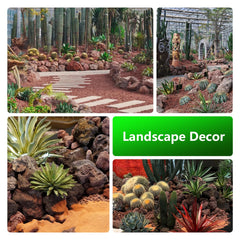 KINGRUI piedra lava terrario, decoración interior natural y duradera.