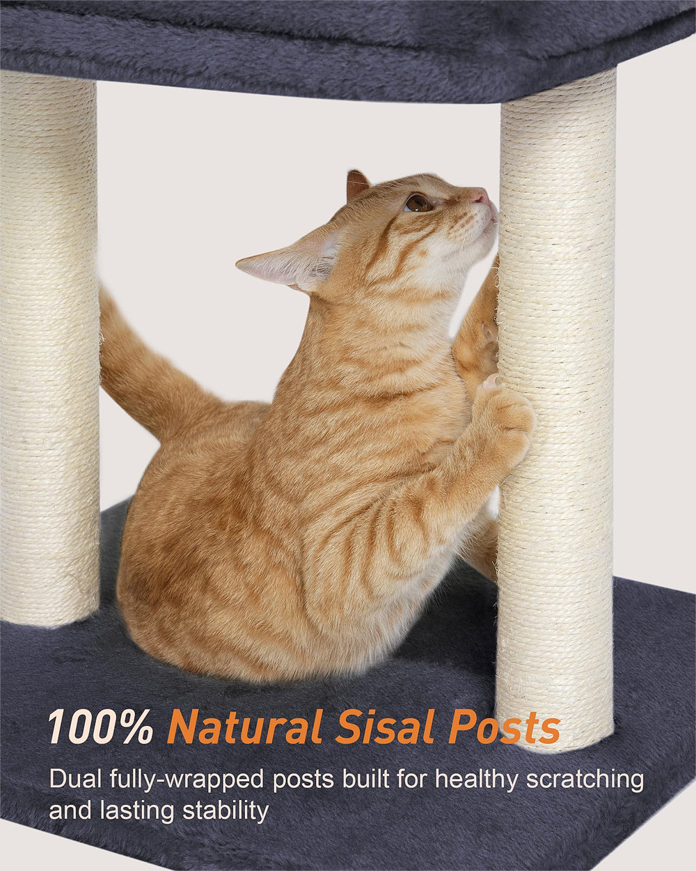 KinoTail arbol-gato base-grande ofrece estabilidad durante el juego activo