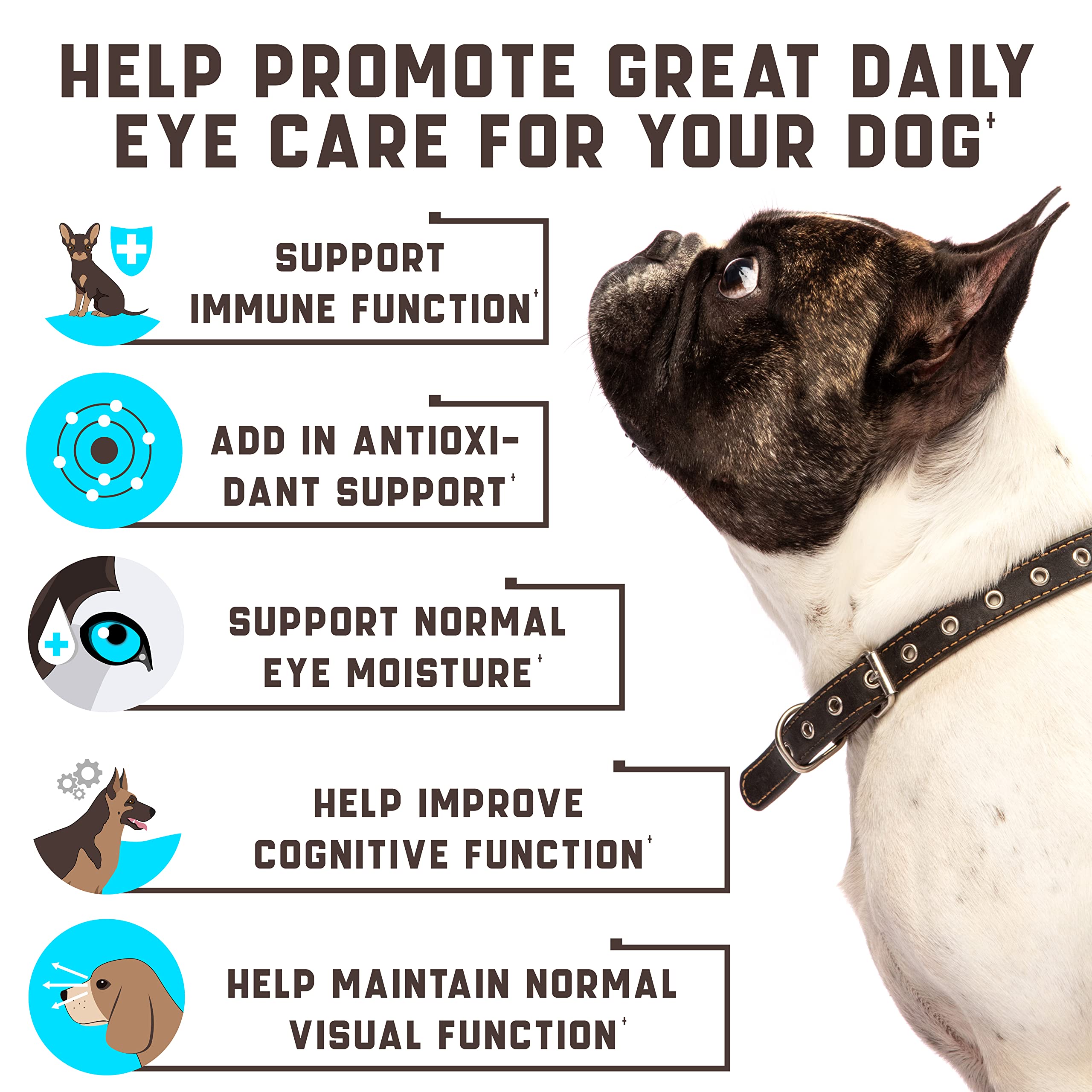 Kinpur Pet Care gominolas suaves para ojos de perros, diseño práctico y sabroso