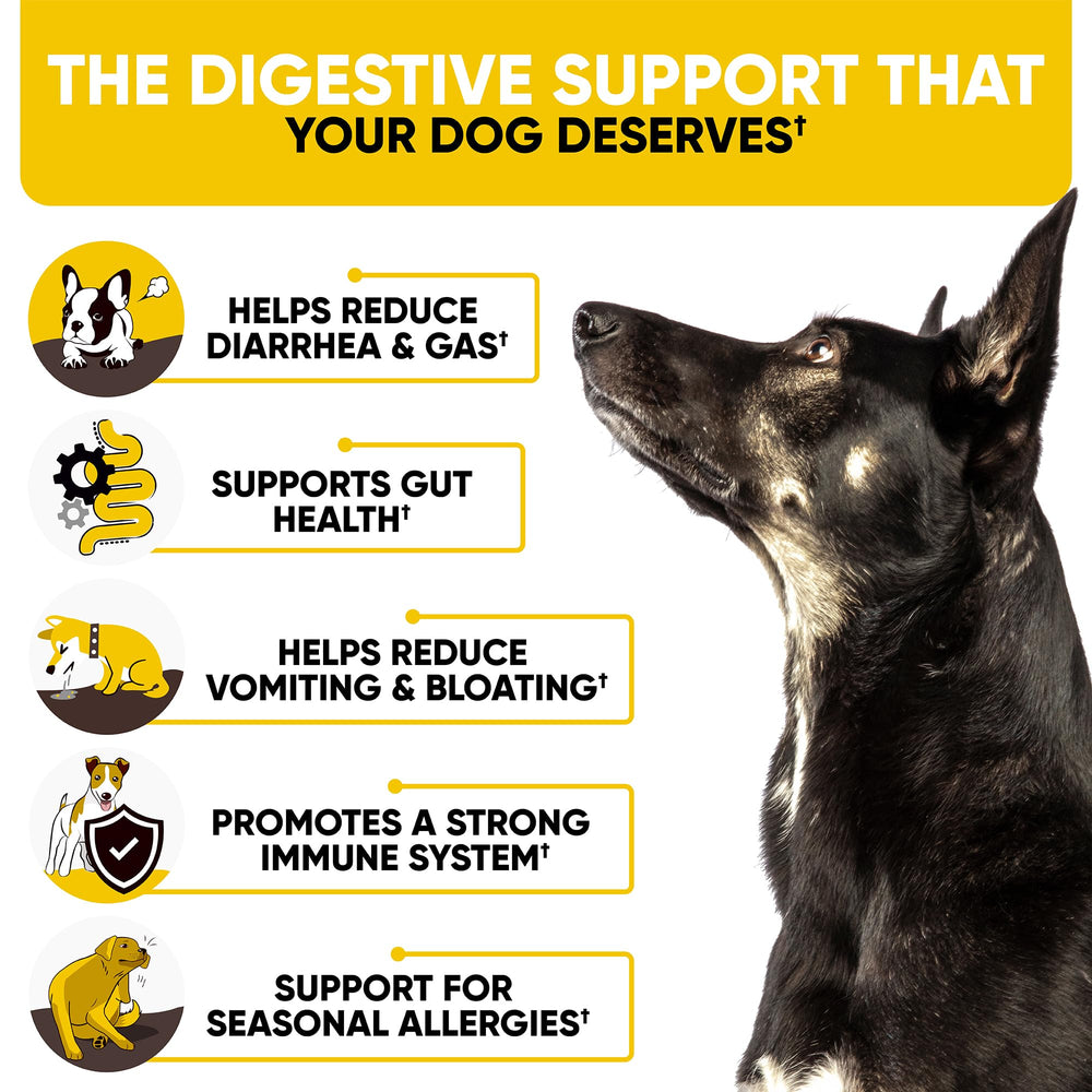 Kinpur Probiotics Chews para perros, etiqueta frontal visible, fórmula natural.