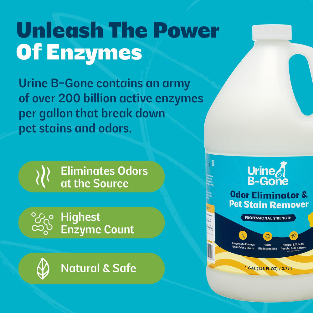 Kinzua Environmental Urine B-Gone, seguro alrededor de mascotas y niños cuando se usa.