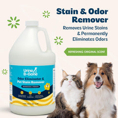 Kinzua Environmental Urine B-Gone, tratamiento en tapicería para manchas y olor.
