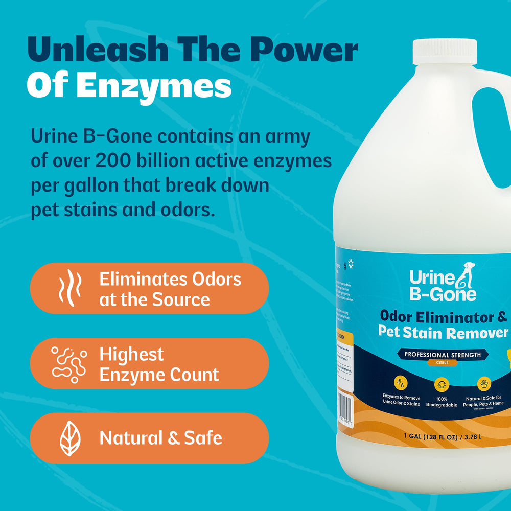 KINZUA ENVIRONMENTAL Urine B-Gone: drenajes con olor reducido