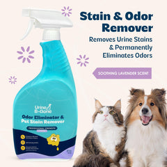 KINZUA ENVIRONMENTAL Urine B-Gone: aplicación en lavandería para pre-tratamiento de manchas.