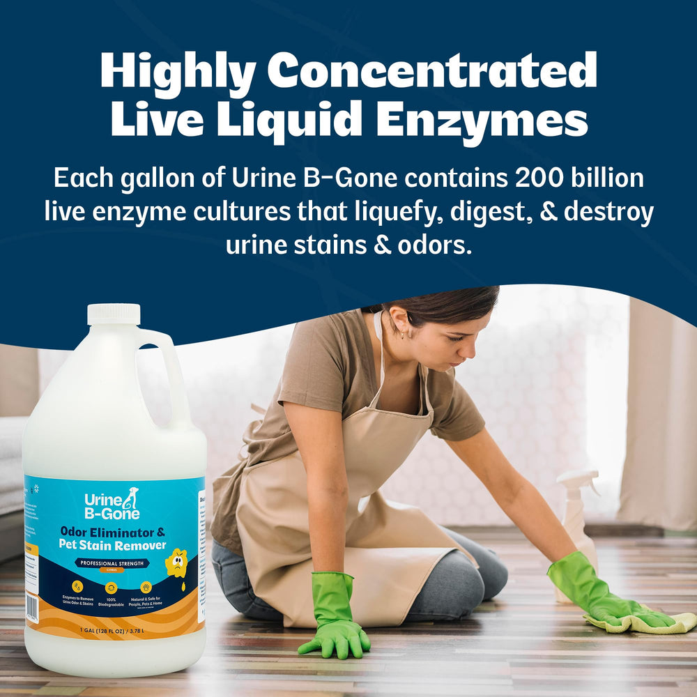 KINZUA ENVIRONMENTAL Urine B-Gone: fragancia cítrica durante la limpieza