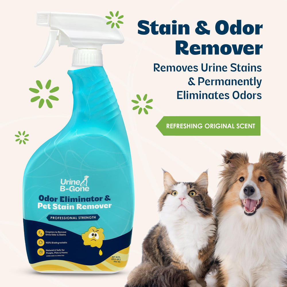 KINZUA URINE B-GONE, etiqueta-cerca, aroma fresco para espacios domésticos.