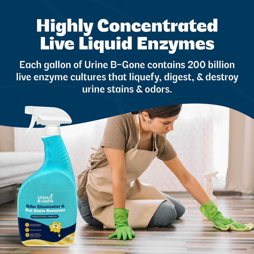 KINZUA URINE B-GONE, limpieza-de-muebles, revitaliza tapizados.
