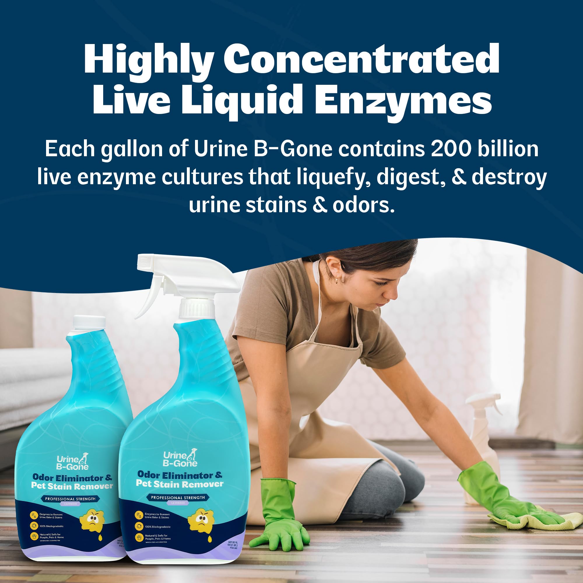 KINZUA ENVIRONMENTAL Urine B-Gone seguro-para-hogar: fórmula enzimática suave para casas con mascotas.