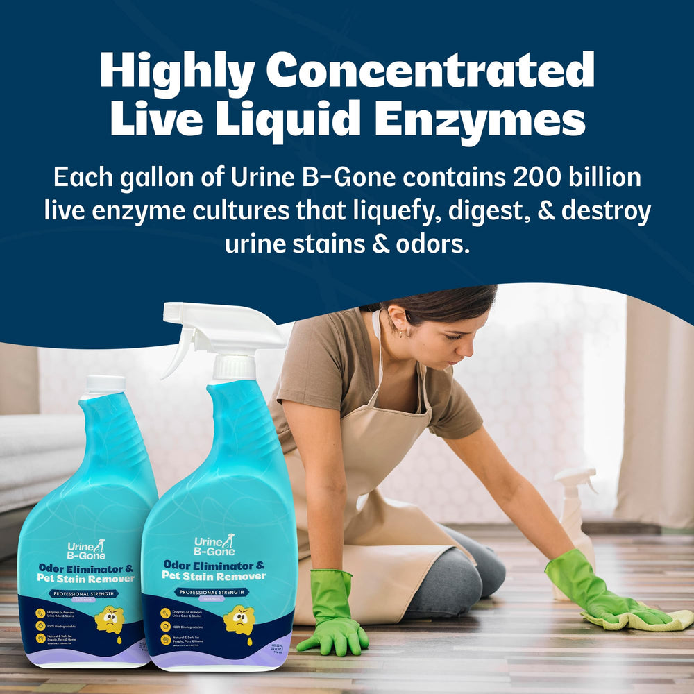 KINZUA ENVIRONMENTAL Urine B-Gone seguro-para-hogar: fórmula enzimática suave para casas con mascotas.