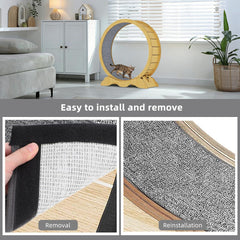 Kisangel alfombrilla rascar para gato, uso seguro en interiores.