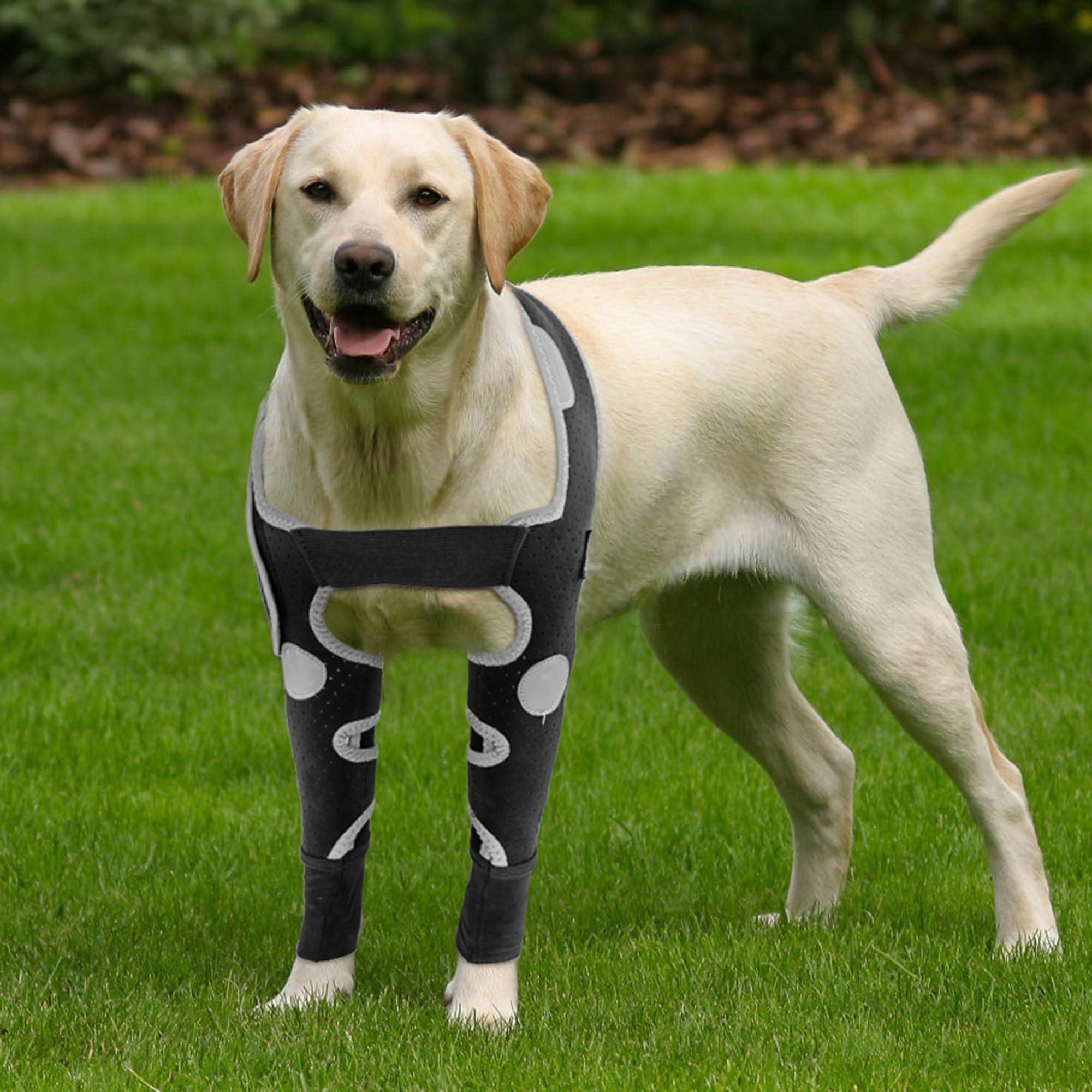 Protector de codo para perros KISFLY, evita lamer heridas.