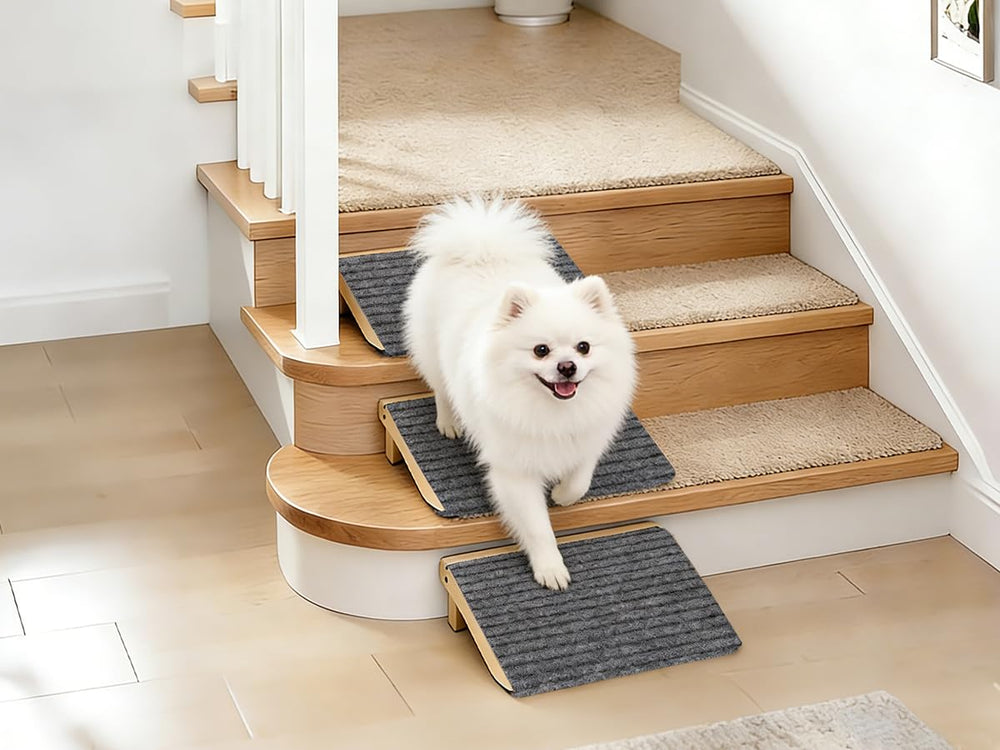 KISIMUY rampa-perro portable-ligera ideal para uso en casa y coche.