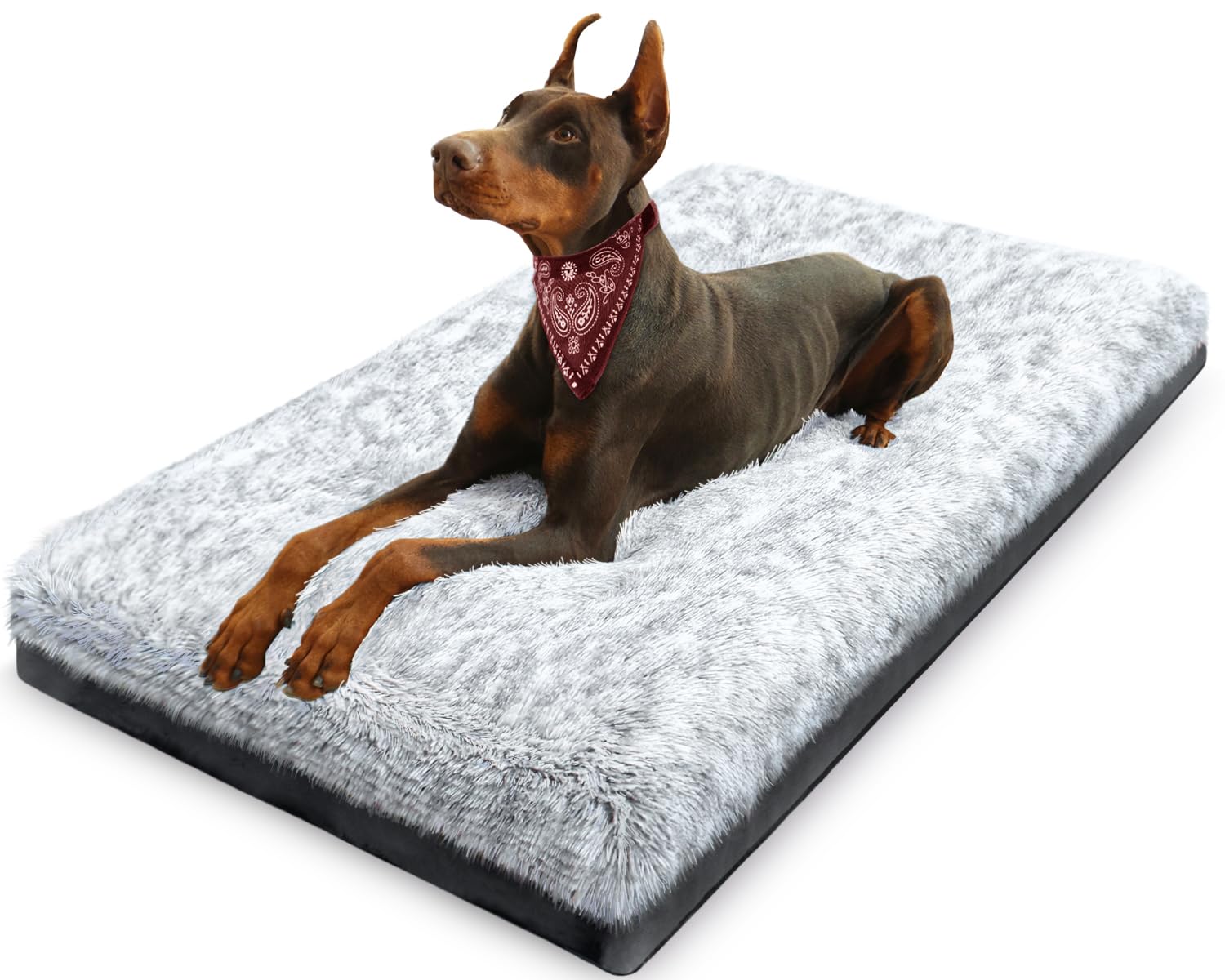 KISYYO cama ortopédica para perros con base antideslizante, ideal para jaulas.