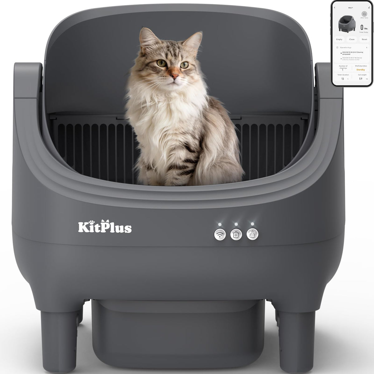 KITPLUS caja autolimpiable, diseño abierto para mayor comodidad y ventilación del gato.