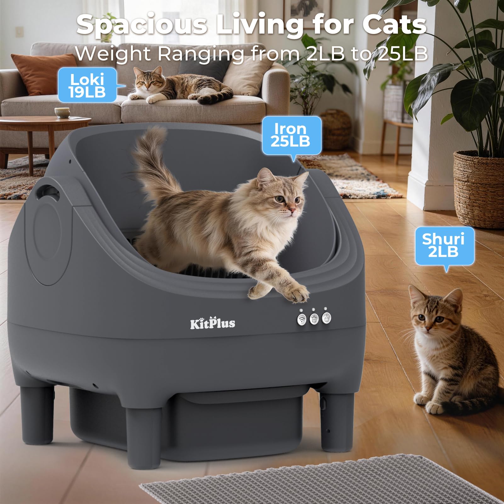 KITPLUS mantenimiento fácil, interior desmontable para limpieza rápida.