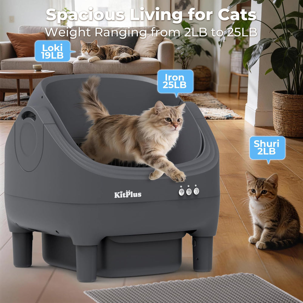 KITPLUS mantenimiento fácil, interior desmontable para limpieza rápida.