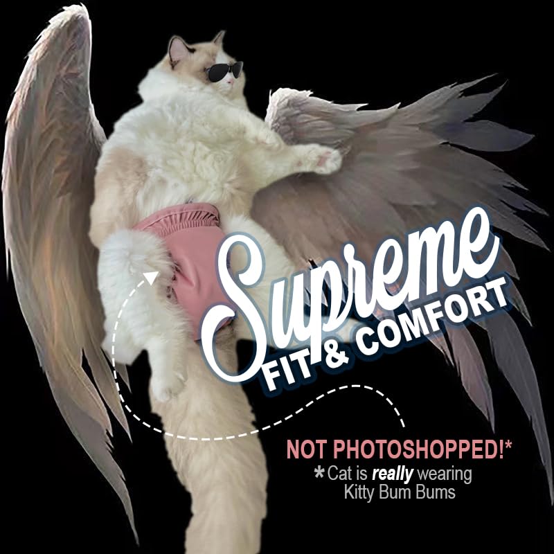 Kitty BumBums conjunto de tres tallas pequenas para gatos.
