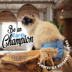 Kitty BumBums: lenguetas ajustables para ajuste cómodo y seguro.