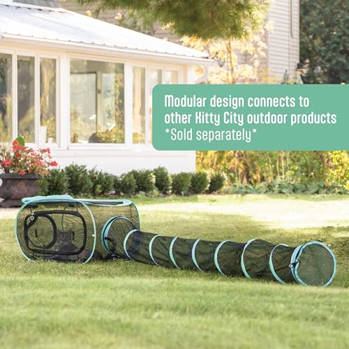 Kitty City borde turquesa añade estilo moderno a patios o interiores.