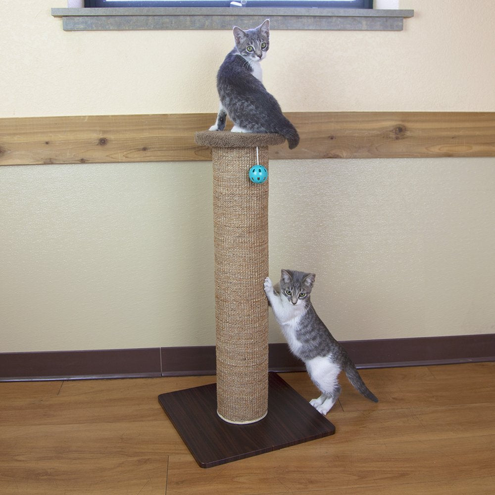 Kitty City diseño neutro marrón que se integra con la decoración.