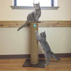 Kitty City gato estirando y rascando en sisal natural.