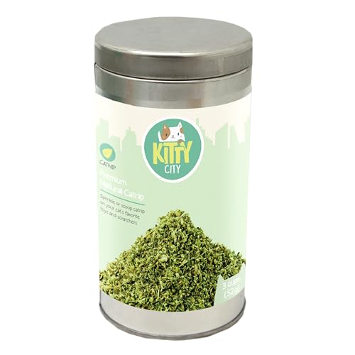 Kitty City: apertura de la lata para liberar aroma y energía lúdica