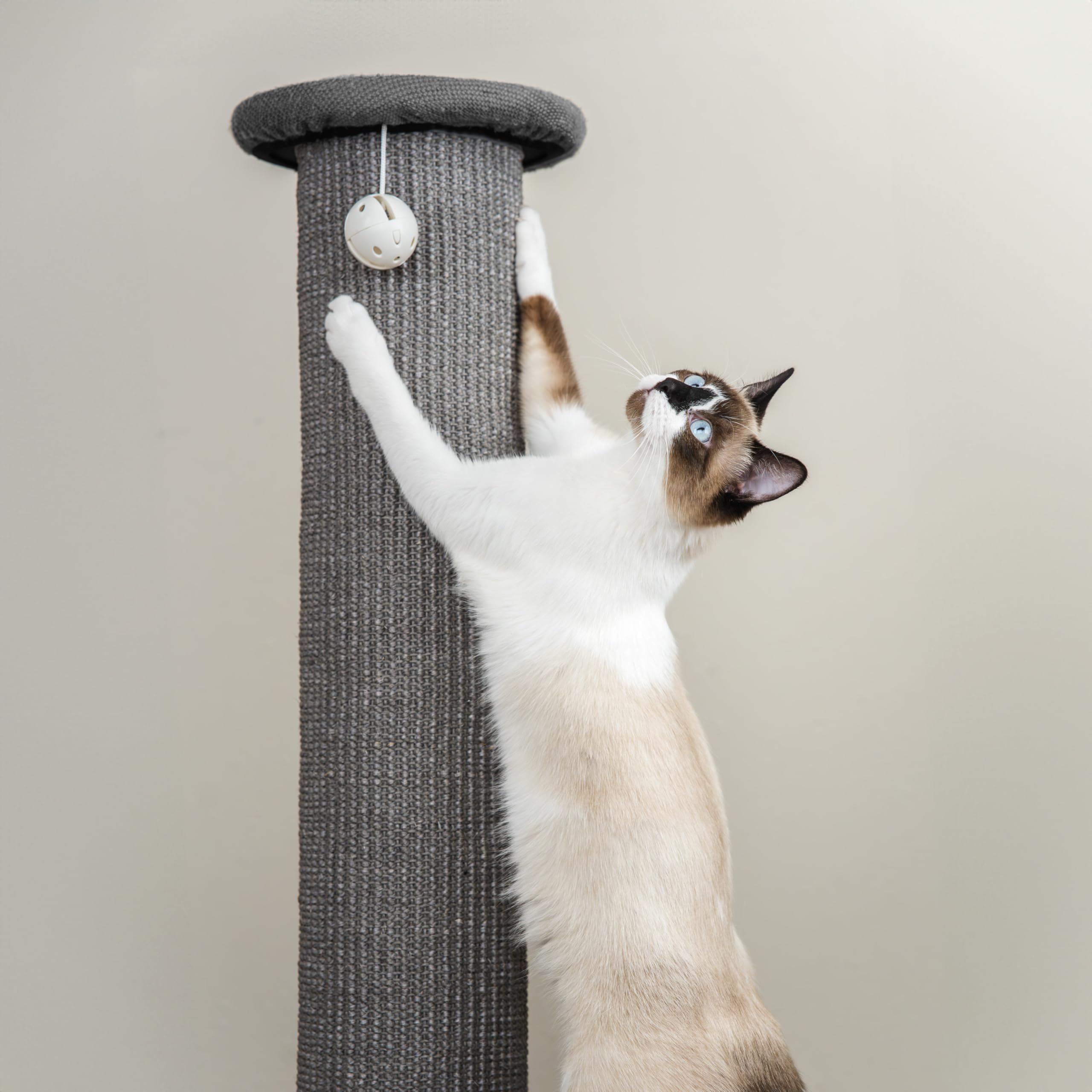 Kitty City juguete campana colgante para estimulación y juego.