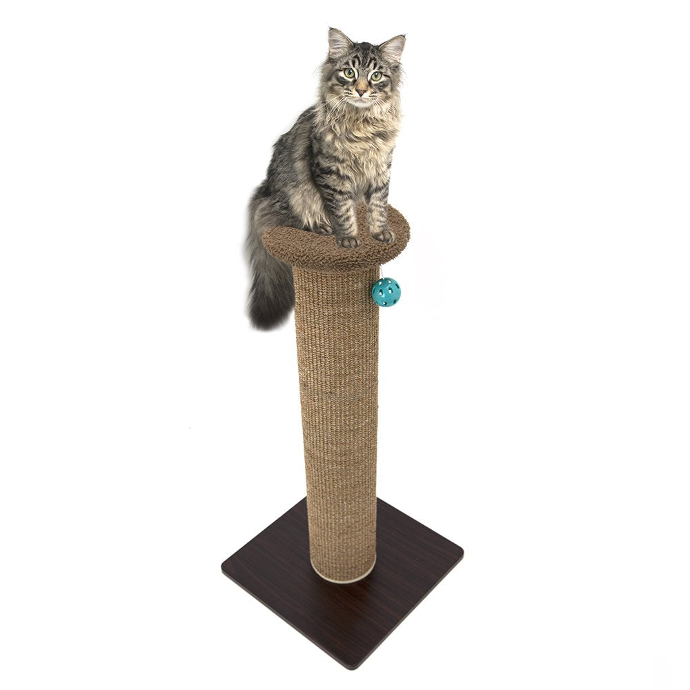 Kitty City protección de muebles al redirigir el rasguño.