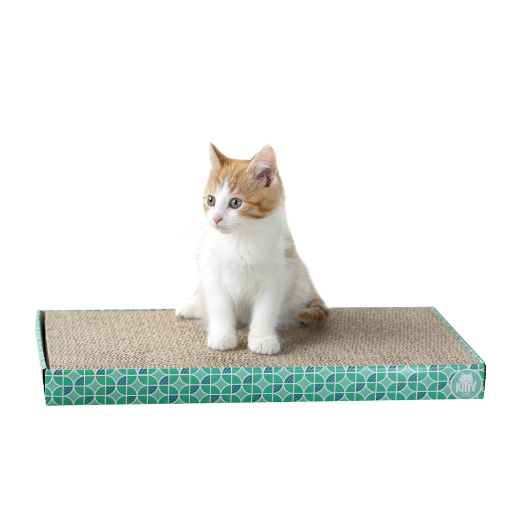 Kitty City protege muebles al ofrecer un punto de rascar seguro