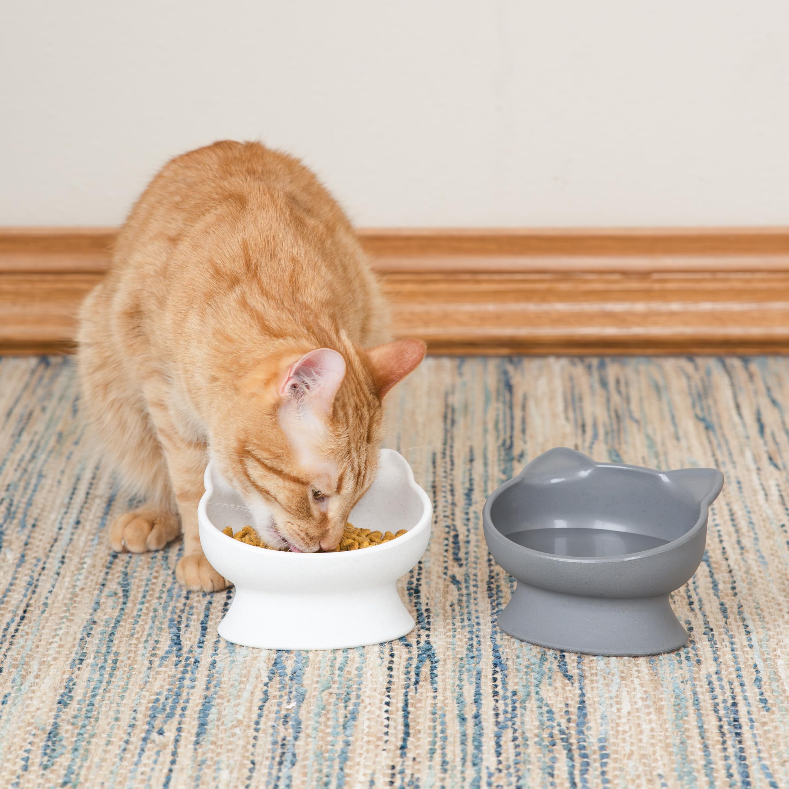 Kitty City: rugas internas para control del ritmo de comida, mejora experiencia al comer.