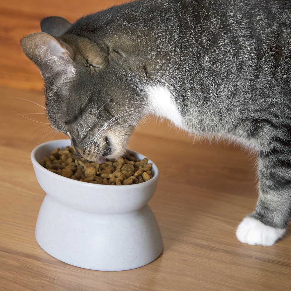 Kitty City: diseño amigable para bigotes y menor fatiga al comer.