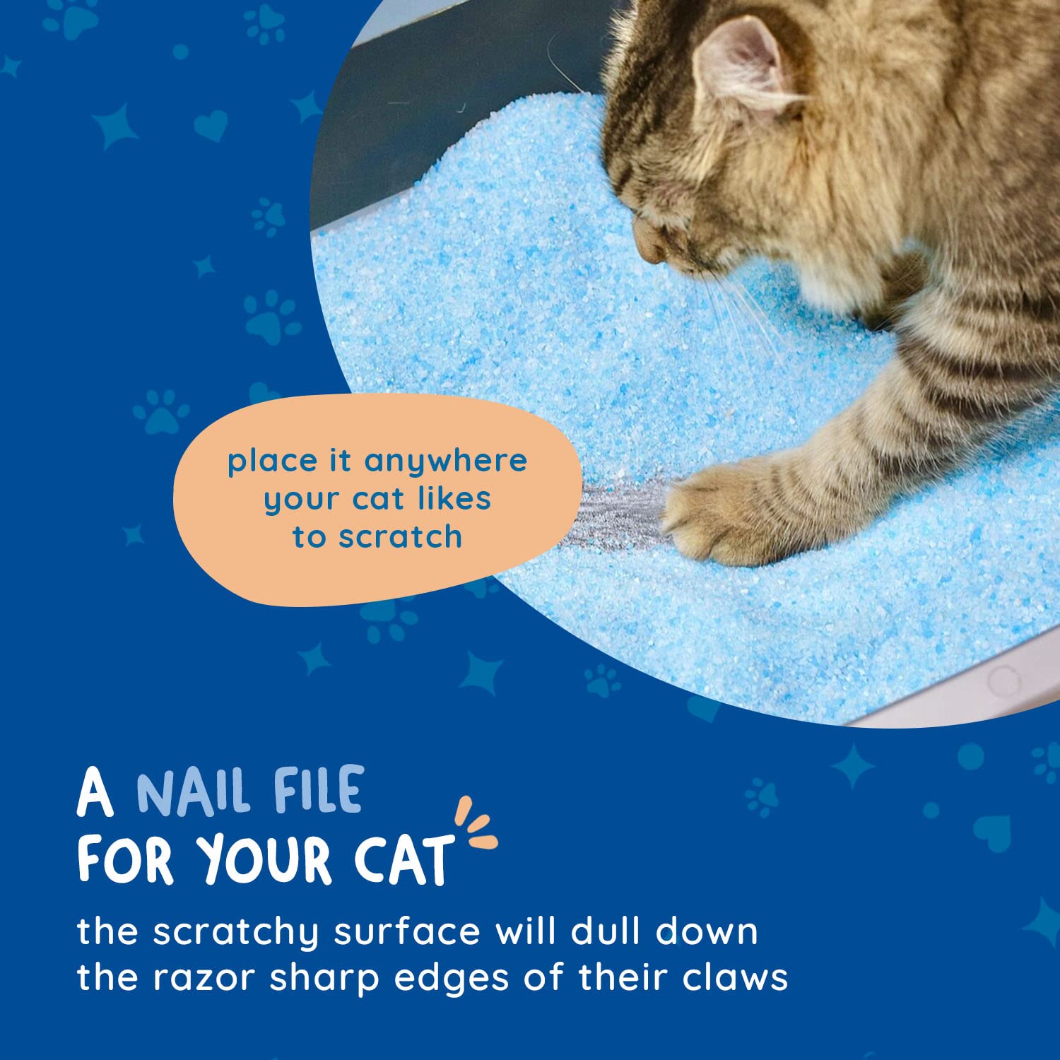 KITTY CURE: lima para garras resistente a olores, ideal para cajas de arena.